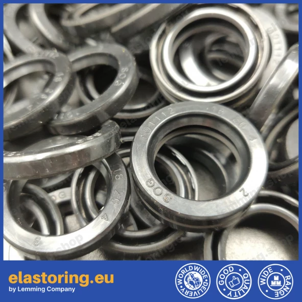 Oil seal 6x10x2 VC FPM Oil seal 6x10x2 VC FPM